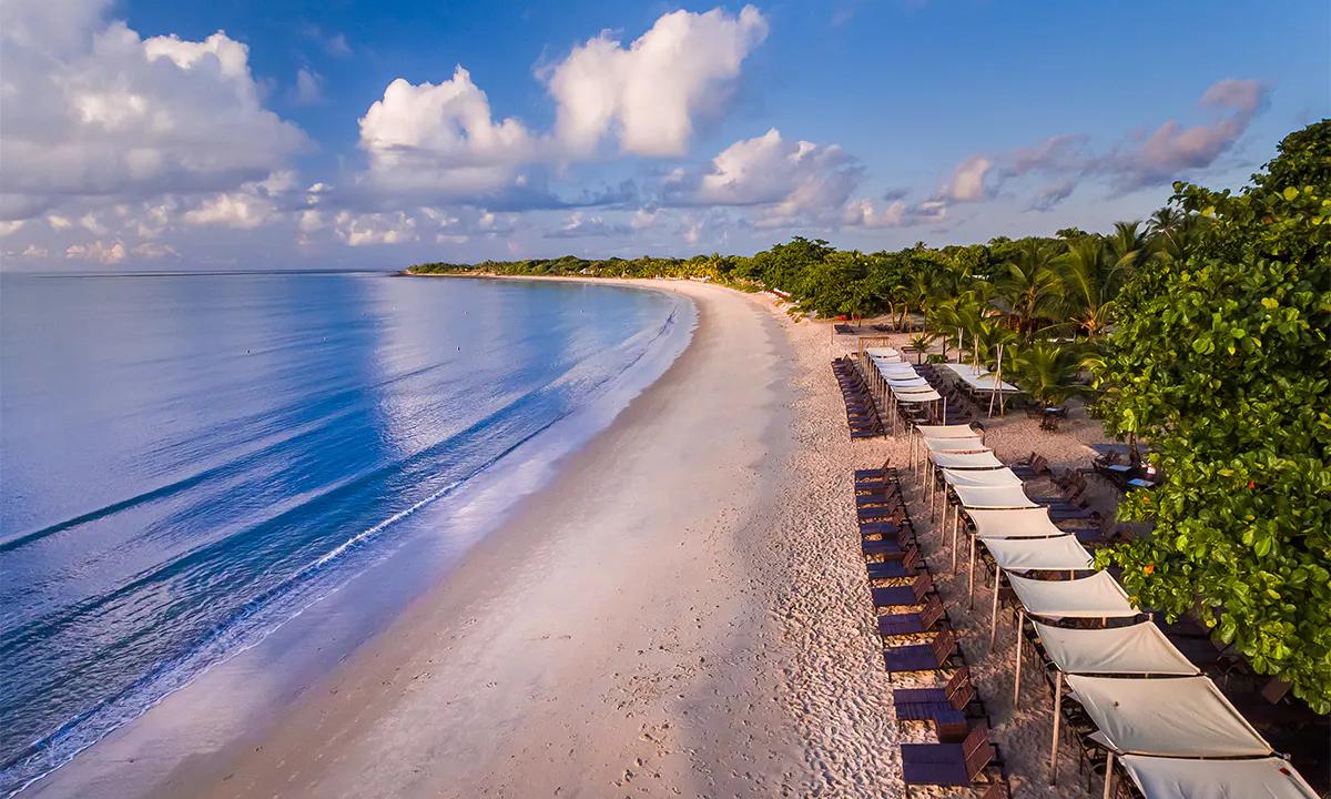 FIN DE AÑO EN PORTO SEGURO